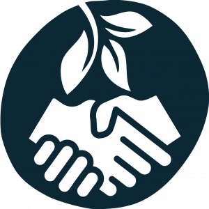 Zwei Hände mit Pflanze als Symbol für Fair Trade und ehrlichen Handel