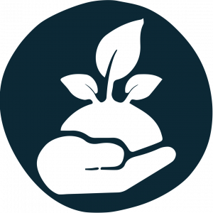 Hand mit Pflanze als Symbol für Natur, Tradition und respektvollen Umgang mit der Herkunft